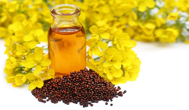 पायरिया, अस्थमा और कई स्किन प्रॉब्लम्स दूर करता है सरसों का तेल
